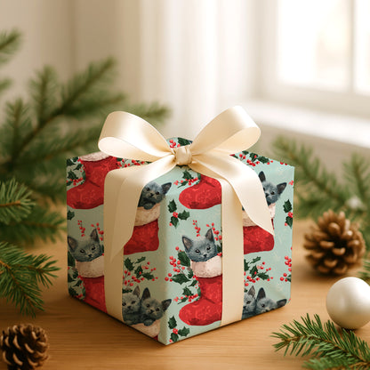 Kittens Peek From Christmas Stockings