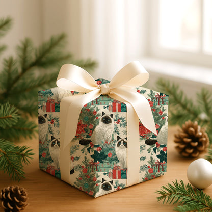 Purring Between Wrapped Memories