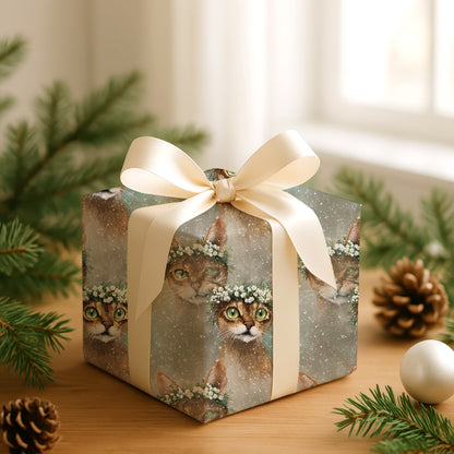 Winter's Gentle Feline Companions