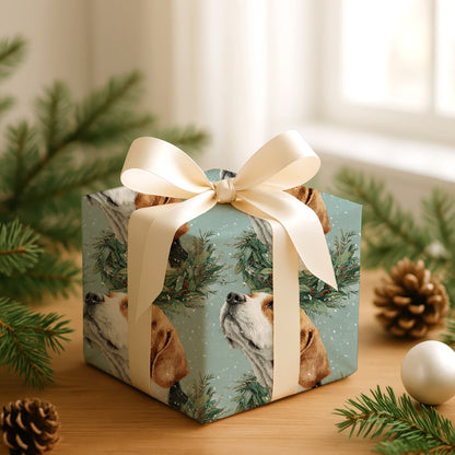 Winter's Gentle Companion Rests