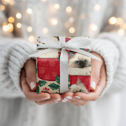 Cozy Cats in Christmas Stockings