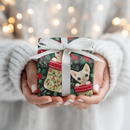 Curious Cats Peek Through Festive Socks