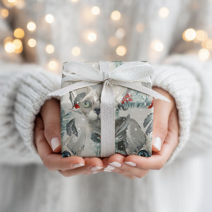 Frost Cats Bloom In Winter