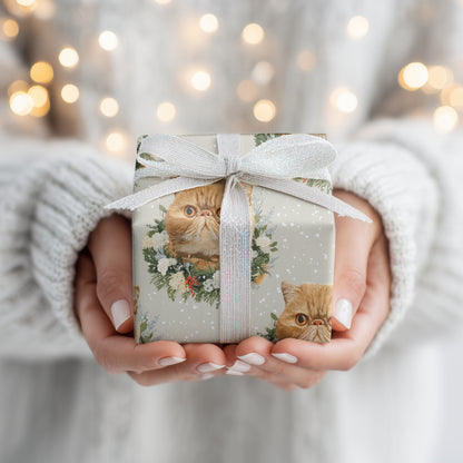 Ginger Cats Bloom Through Winter's Grace