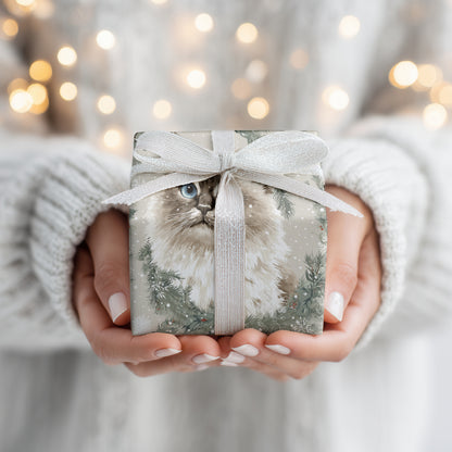 Frost Catches Blue Gaze