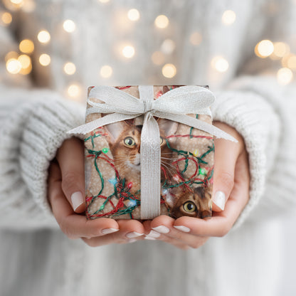 Reindeer Cats Tangle Holiday Cheer