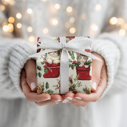 Kittens Unwrap Holiday Cheer