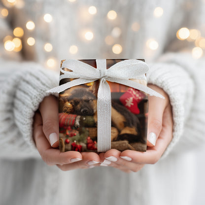 Firelight Finds Drowsy Companions