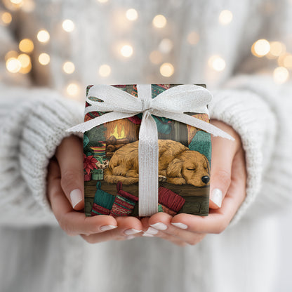 Warm Paws, Silent Night