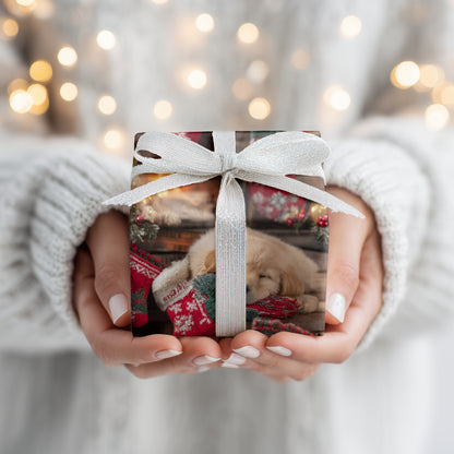 Warm Paws, Cozy Christmas Dreams