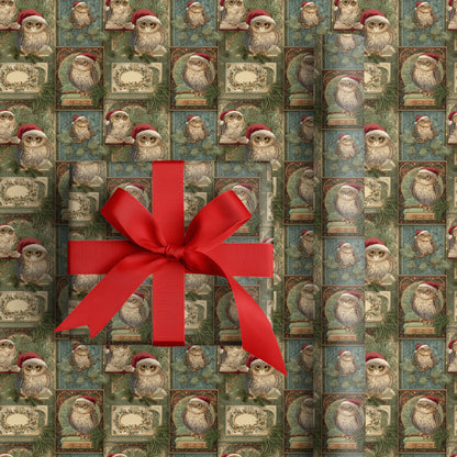 Wise Owls Wait For Christmas