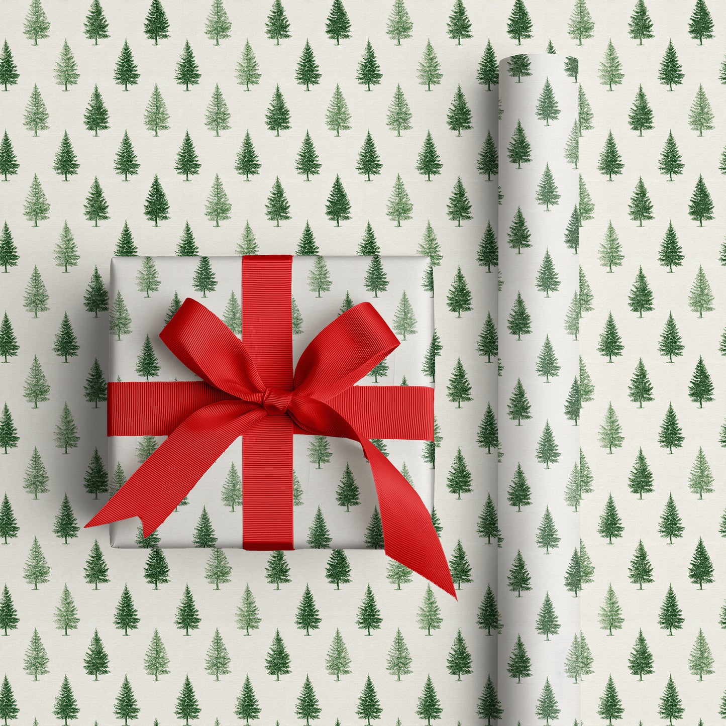 Evergreen Rhythms Across Quiet Paper