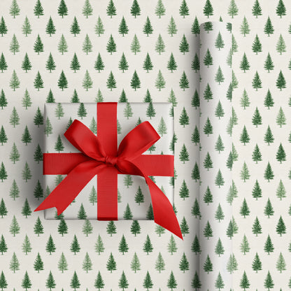 Evergreen Rhythms Across Quiet Paper