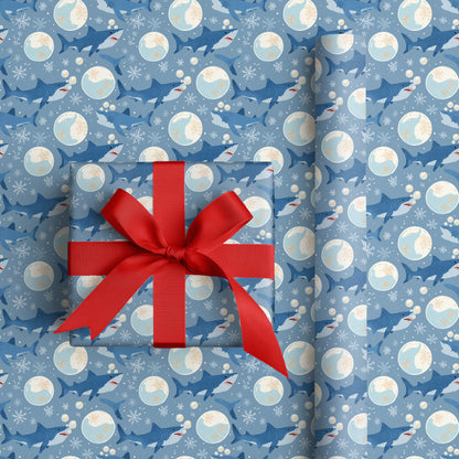 Cold Sharks Swim Winter's Dream