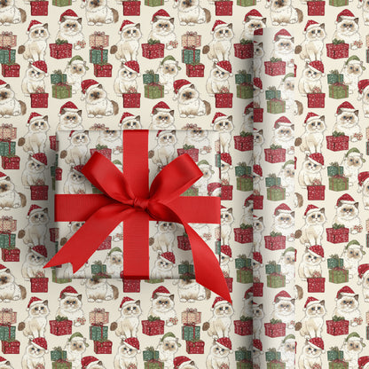 Festive Felines Unwrap Holiday Cheer