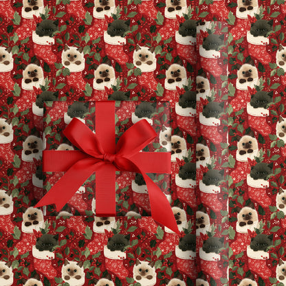 Merry Mittens And Curious Cats