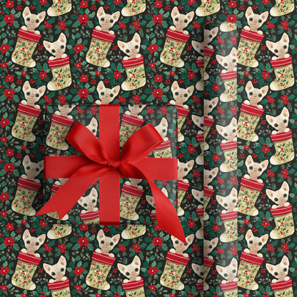 Curious Cats Peek Through Festive Socks