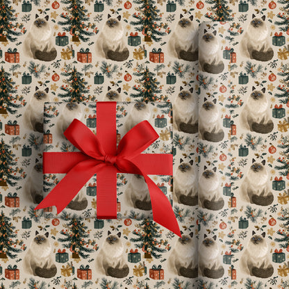 Ragdoll Reigns Over Christmas Cheer