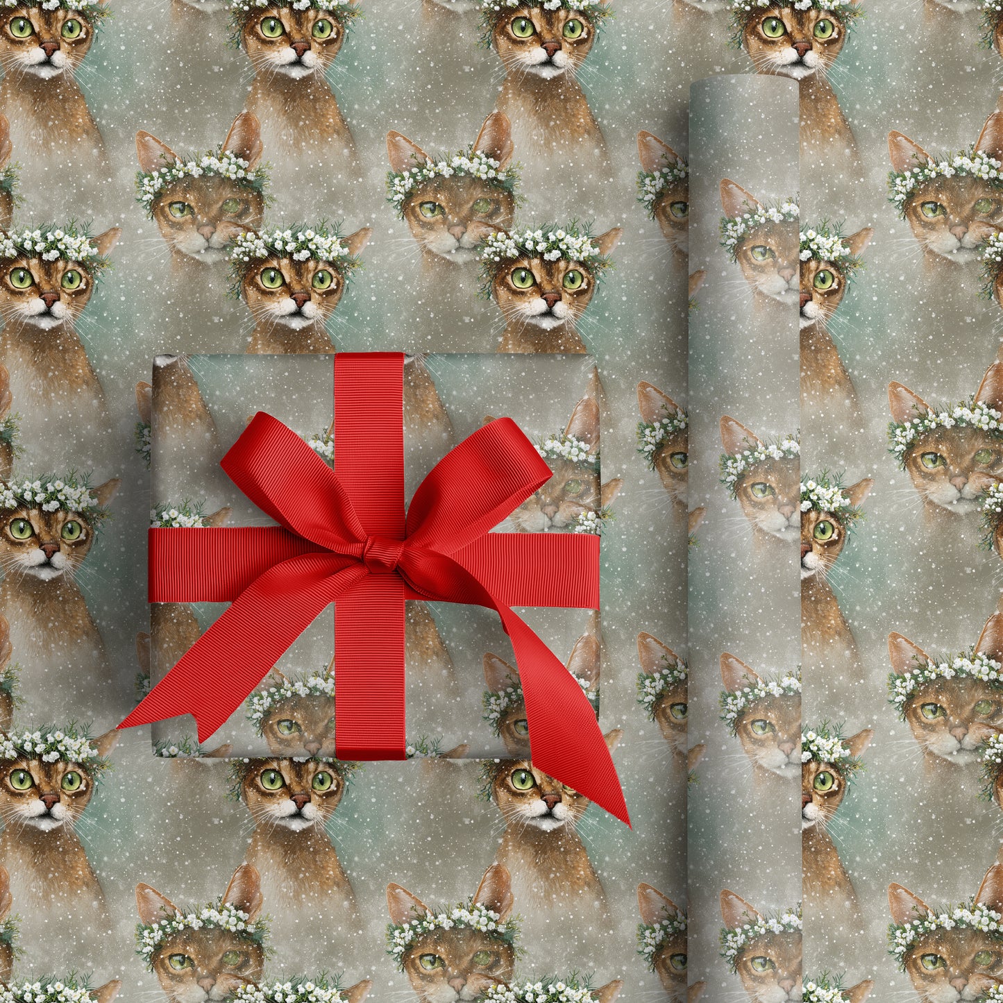 Winter's Gentle Feline Companions