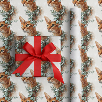 Winter's Tender Feline Fragments