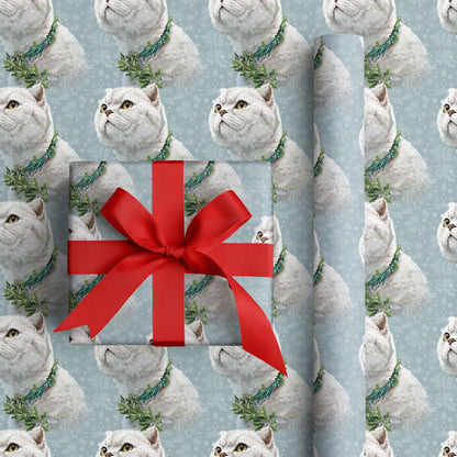 Winter's Soft Companions Bloom