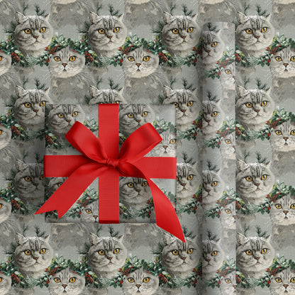 Winter's Feline Guardians Wear Evergreen