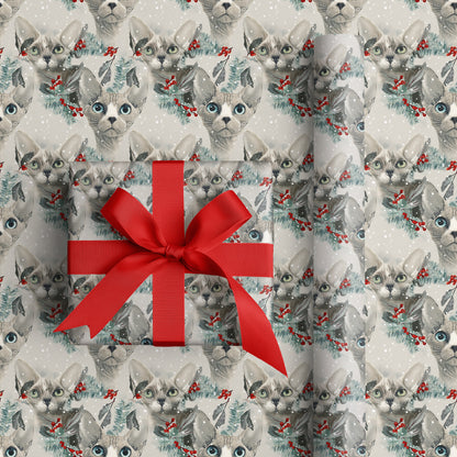 Frost Cats Bloom In Winter