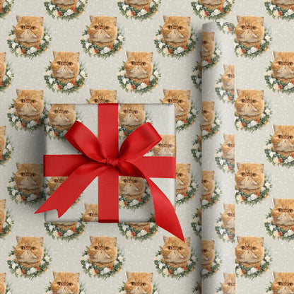 Ginger Cats Bloom Through Winter's Grace