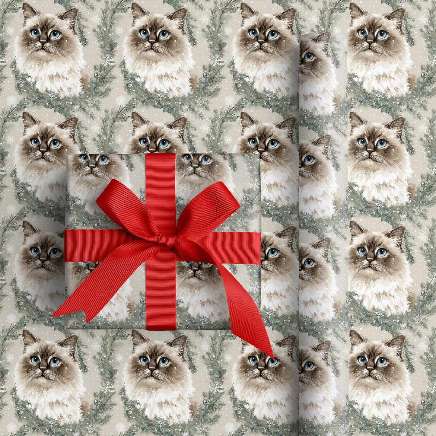 Frost Catches Blue Gaze