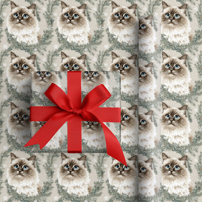 Frost Catches Blue Gaze