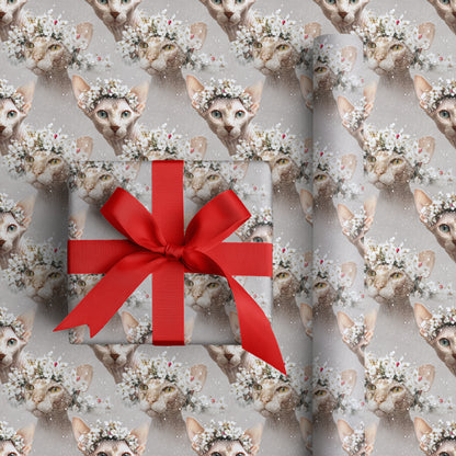 Frost Blooms Between Feline Eyes