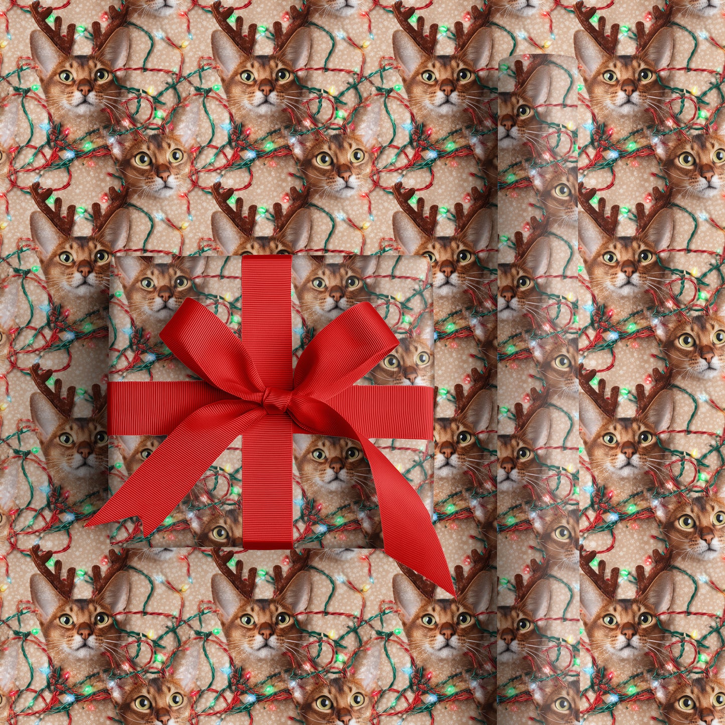 Reindeer Cats Tangle Holiday Cheer