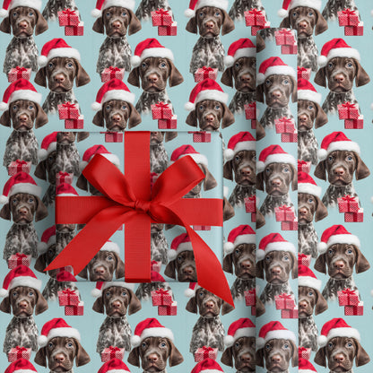 Puppies Peek Through Holiday Cheer