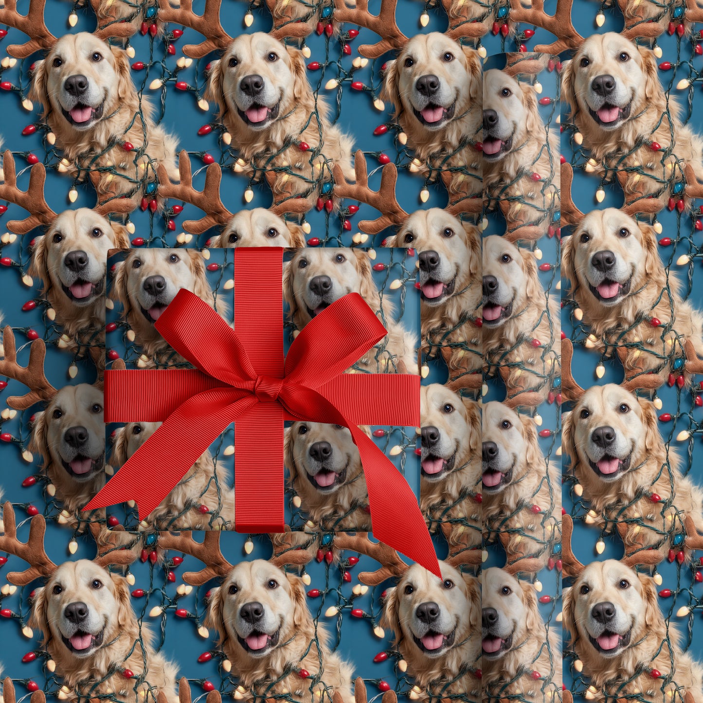 Festive Paws Spark Holiday Joy