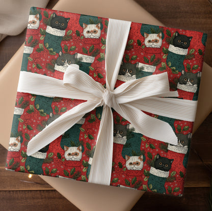 Cozy Cats in Christmas Stockings