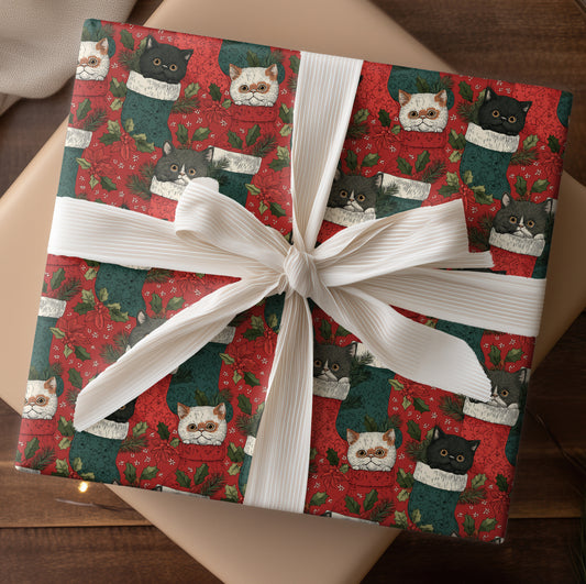 Cozy Cats in Christmas Stockings