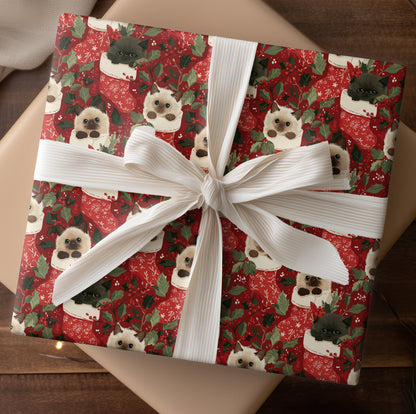 Merry Mittens And Curious Cats