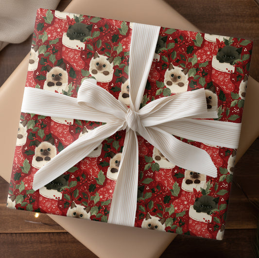 Merry Mittens And Curious Cats