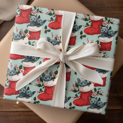 Kittens Peek From Christmas Stockings