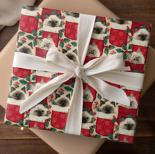 Cozy Cats in Christmas Stockings