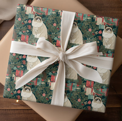 Ragdoll's Christmas Gift Conspiracy