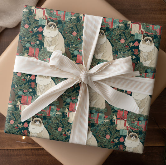 Ragdoll's Christmas Gift Conspiracy