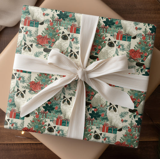 Purring Between Wrapped Memories