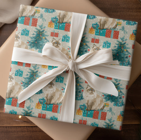 Curious Cats Unwrap Winter's Magic