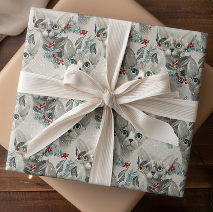 Frost Cats Bloom In Winter