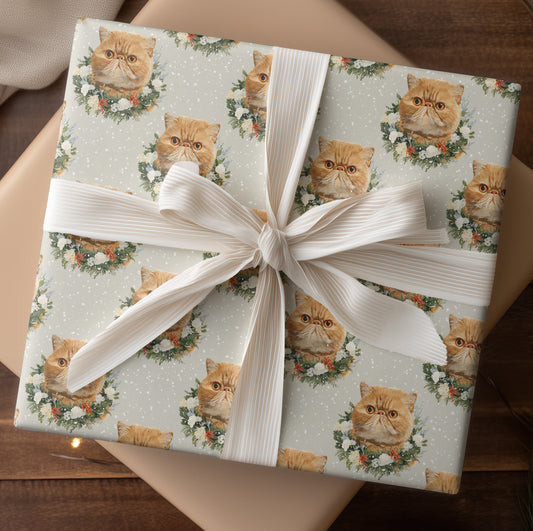 Ginger Cats Bloom Through Winter's Grace