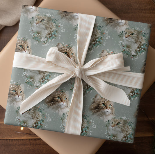 Winter's Soft Feline Grace