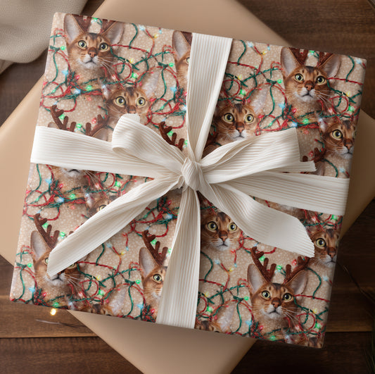 Reindeer Cats Tangle Holiday Cheer