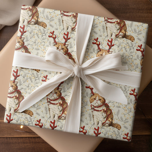 Twinkling Cats Amid Holiday Charm