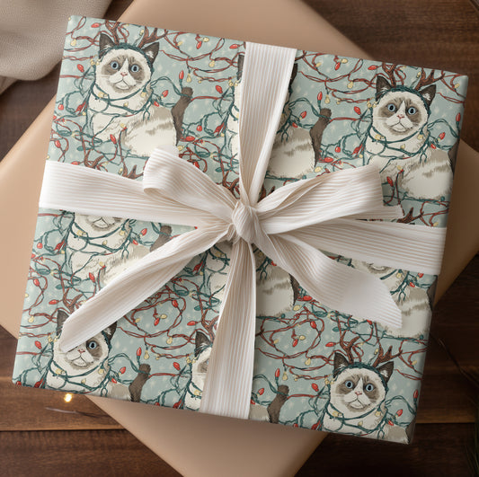 Holiday Kitty's Festive Reluctance